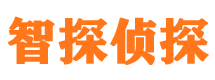 鲁甸侦探公司